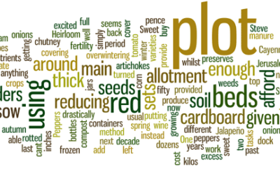 Allotment Diary week and tips (20/9/2011)