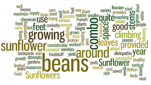 verticalgardeningwordle  Permanent Culture Now